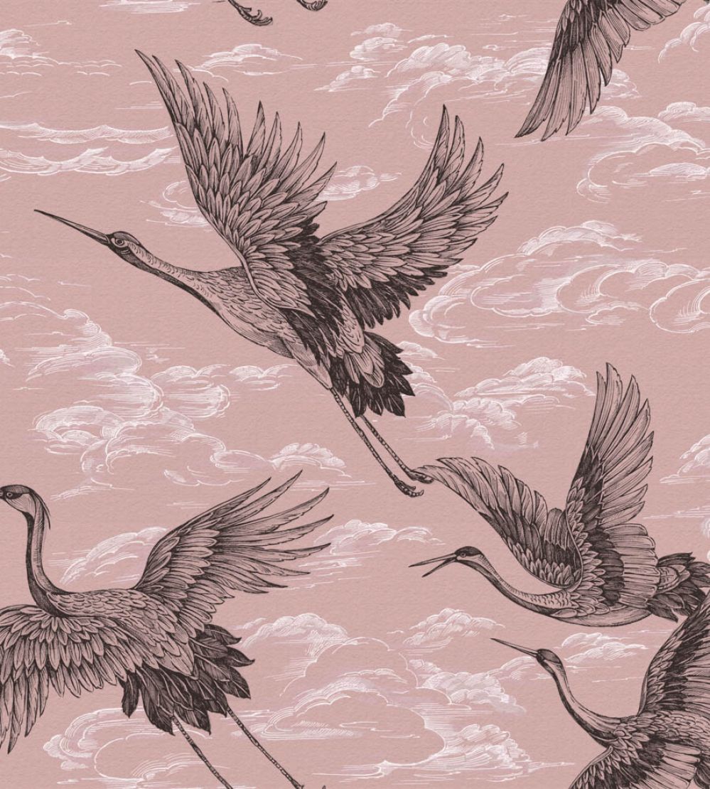 Imperial Ibis Wallpaper by Coordonne Rose