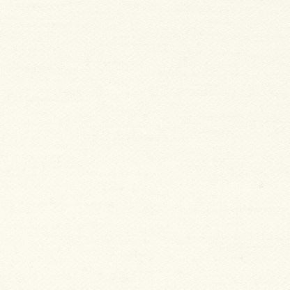 Intimo Fabric by Coraggio in Ivory (U98080)