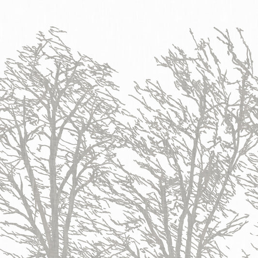 Inverno Mural by Coraggio in White/silver (CWM10090)