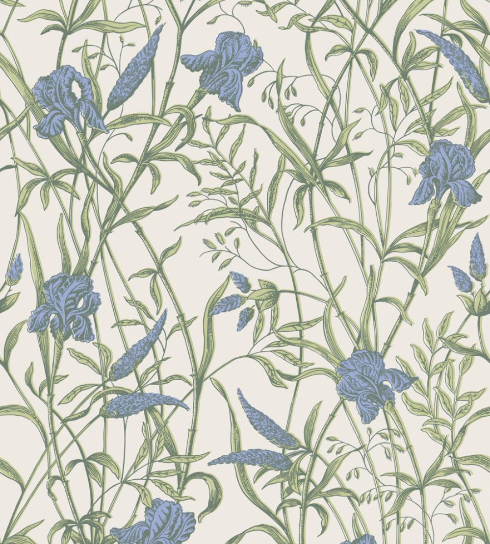 Iris Wallpaper by Cole & Son Iris Blue on Stone