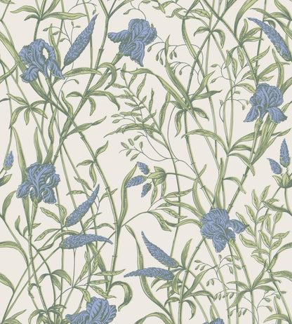 Iris Wallpaper by Cole & Son Iris Blue on Stone