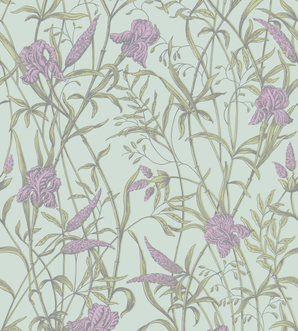 Iris Wallpaper by Cole & Son Lavender on Duck Egg