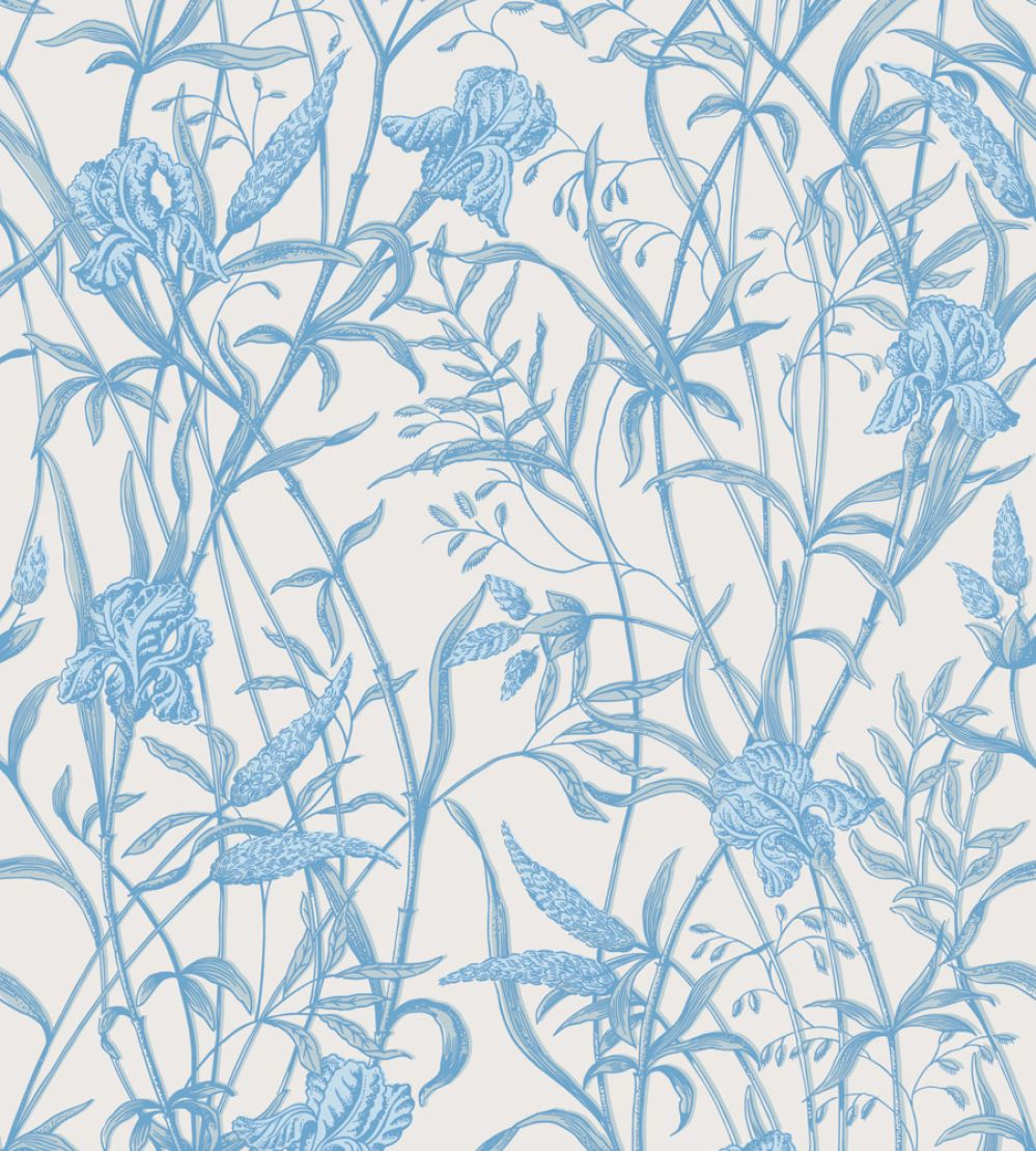 Iris Wallpaper by Cole & Son Soft Cerulean on Porcelain