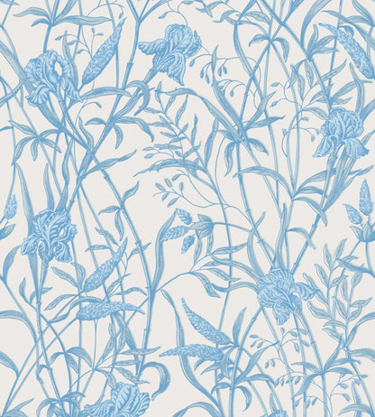 Iris Wallpaper by Cole & Son Soft Cerulean on Porcelain