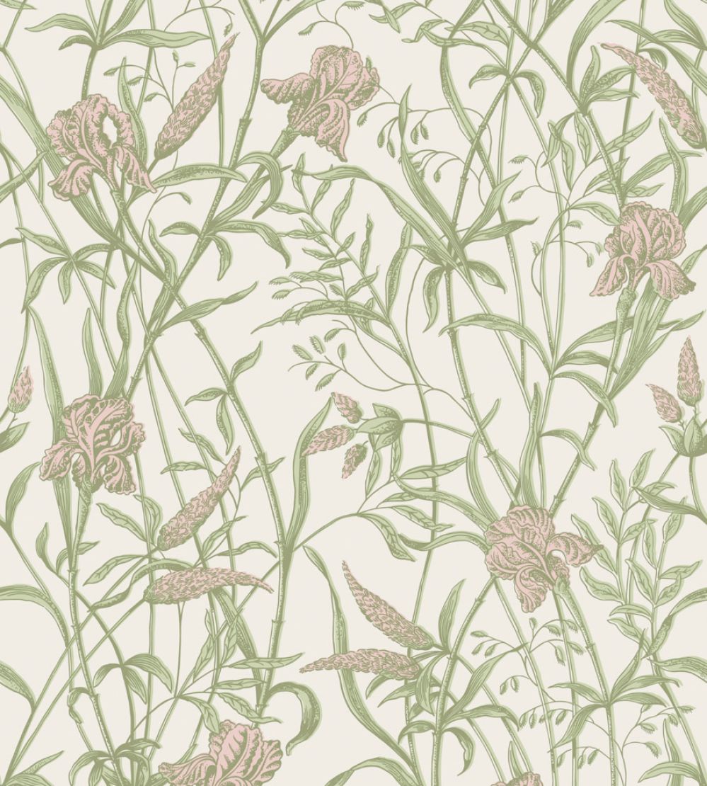 Iris Wallpaper by Cole & Son Soft Coral on Chalk