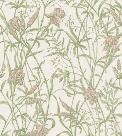 Iris Wallpaper by Cole & Son Soft Coral on Chalk