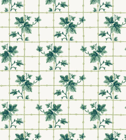 Ivy Trellis Wallpaper by DADO 02 Evergreen