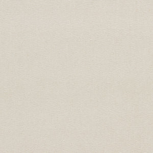 Jaipur Pebble fabric by Clarke & Clarke