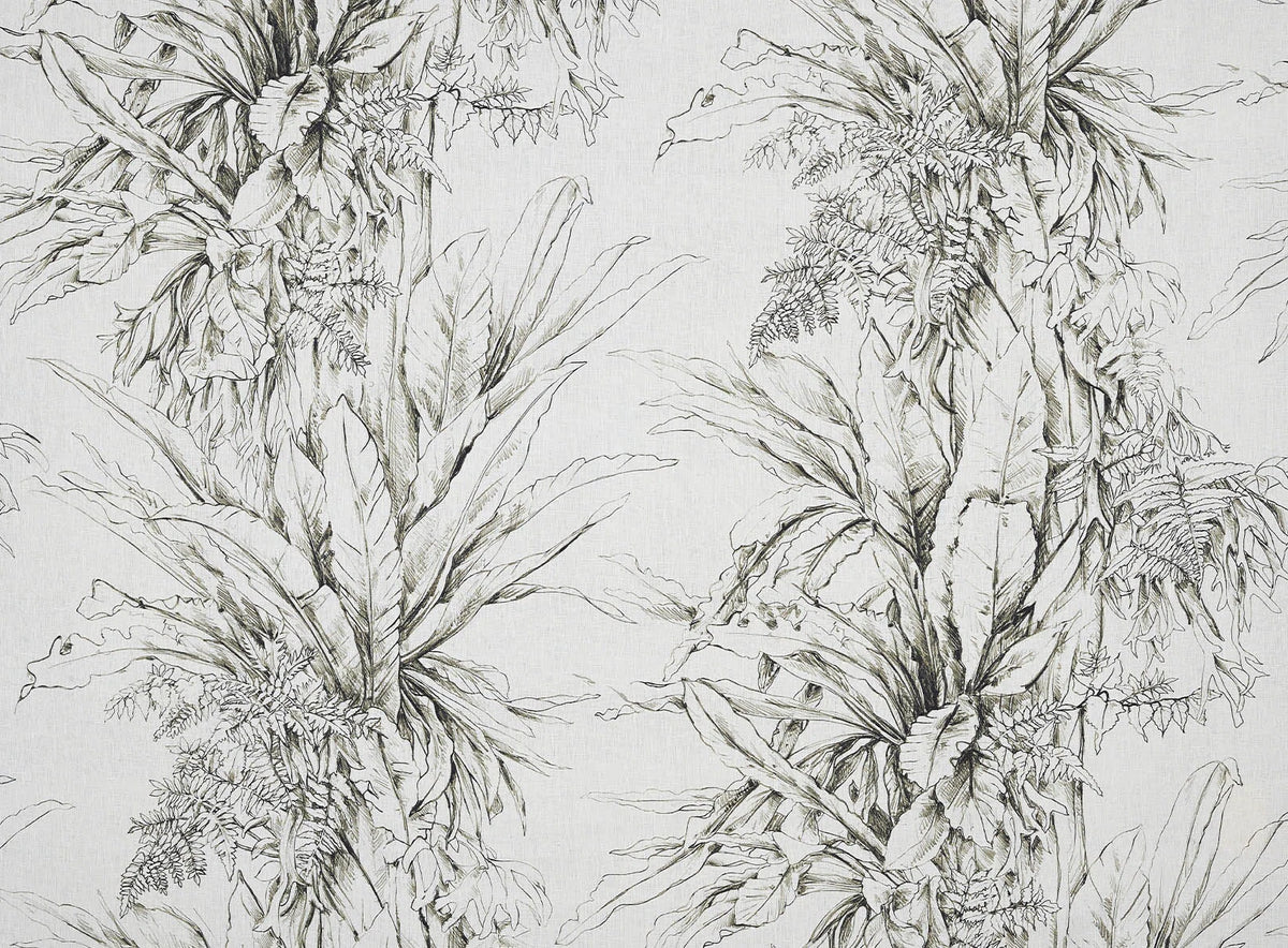 Jalapao Fabric by Pierre Frey in Fusain (F3369001)