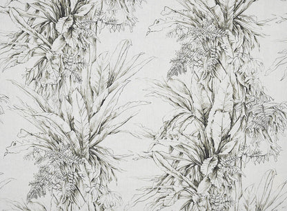 Jalapao Fabric by Pierre Frey in Fusain (F3369001)
