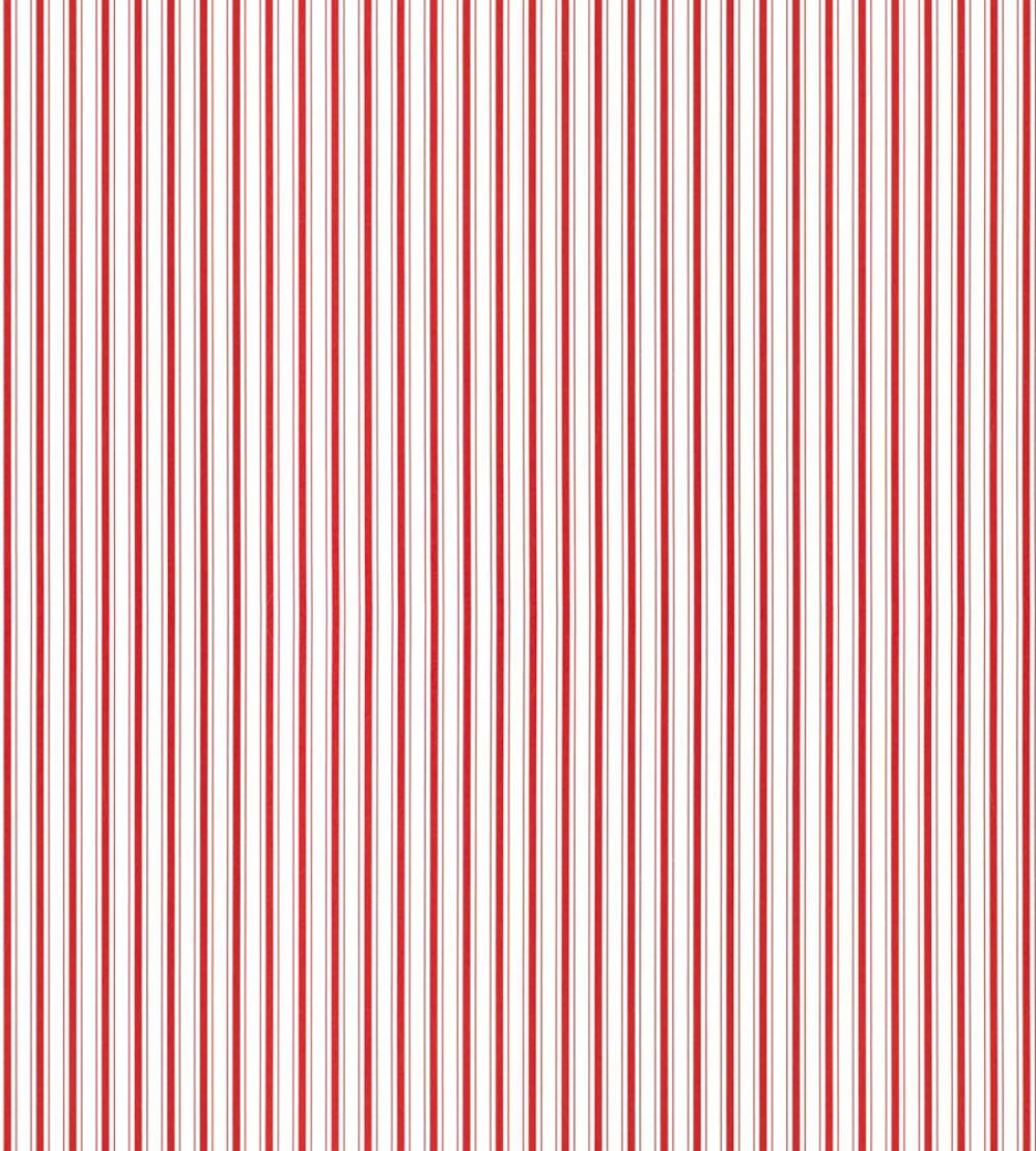 Johnson Stripe Wallpaper by Scalamandre Peppermint