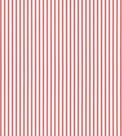 Johnson Stripe Wallpaper by Scalamandre Peppermint