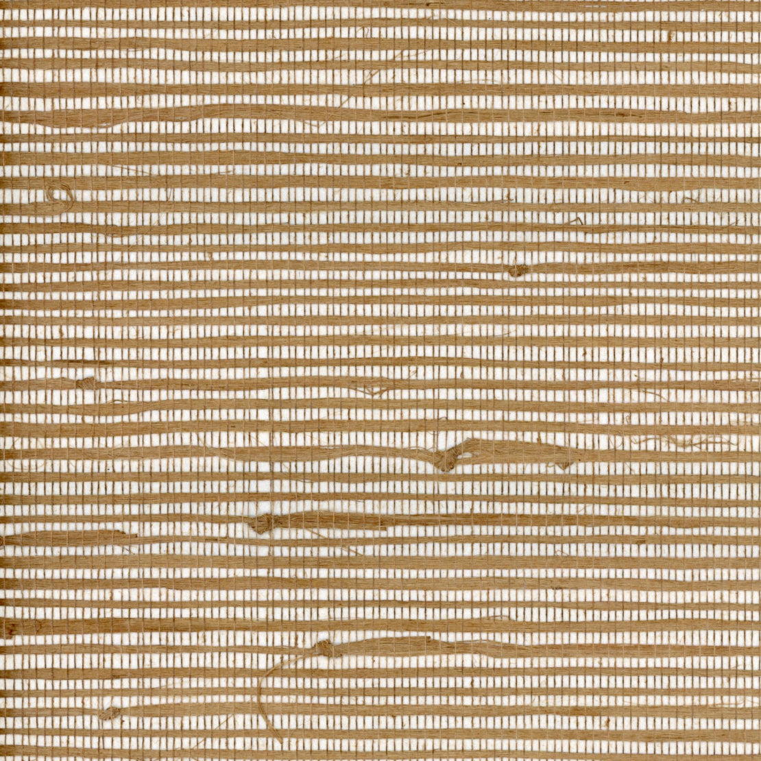 TRH51010 Wallpaper