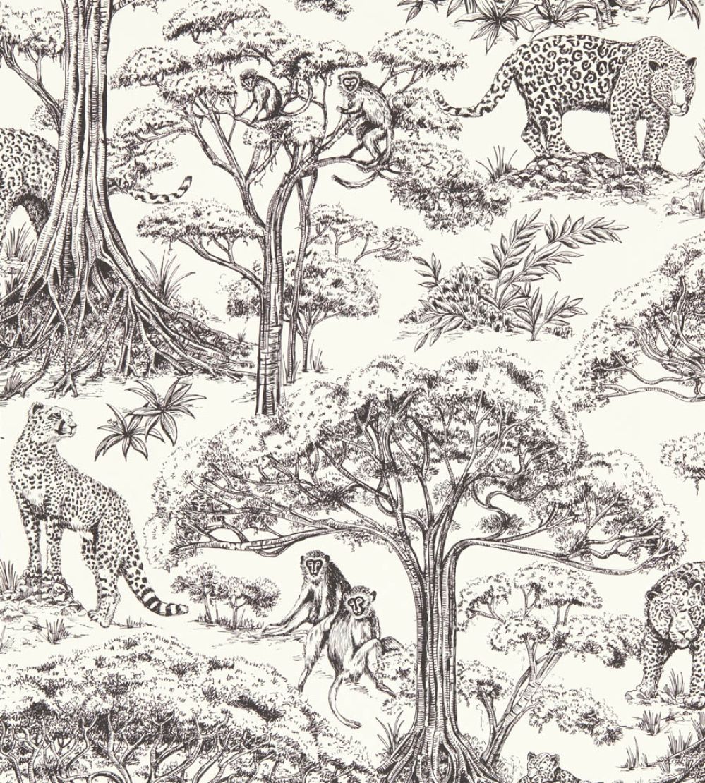 Kisumu Wallpaper by Clarke & Clarke Noir