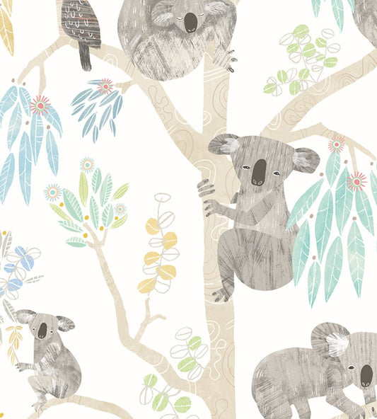 Kooka Koala Wallpaper by Ohpopsi Sky
