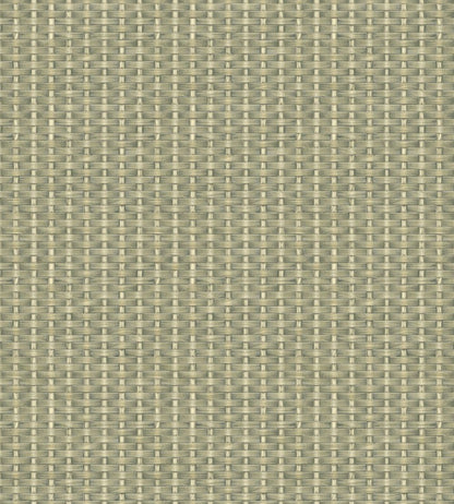Kuba Wallpaper by Coordonne Green