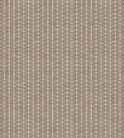 Kuba Wallpaper by Coordonne Nude
