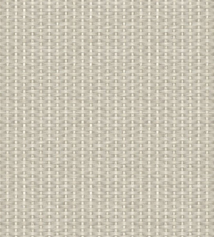 Kuba Wallpaper by Coordonne White/Grey