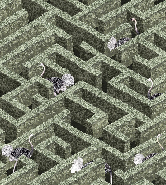 Labyrinth With Ostriches Wallpaper by Josephine Munsey Eucalyptus