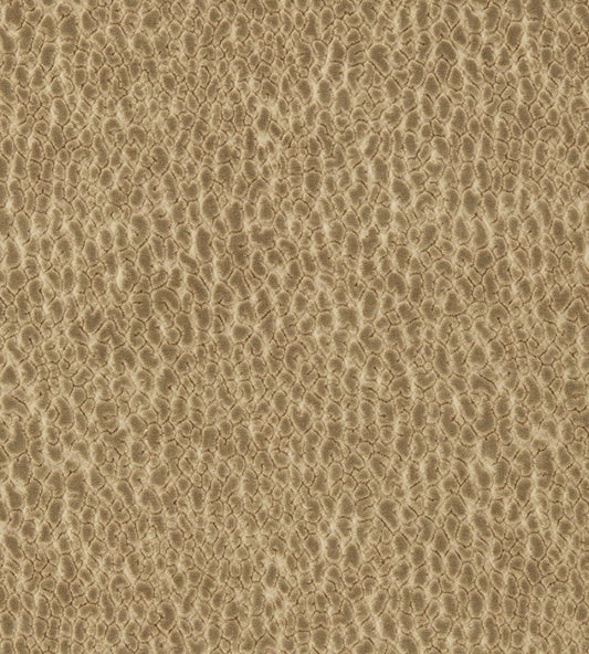 Lacuna Fabric by Harlequin Taupe