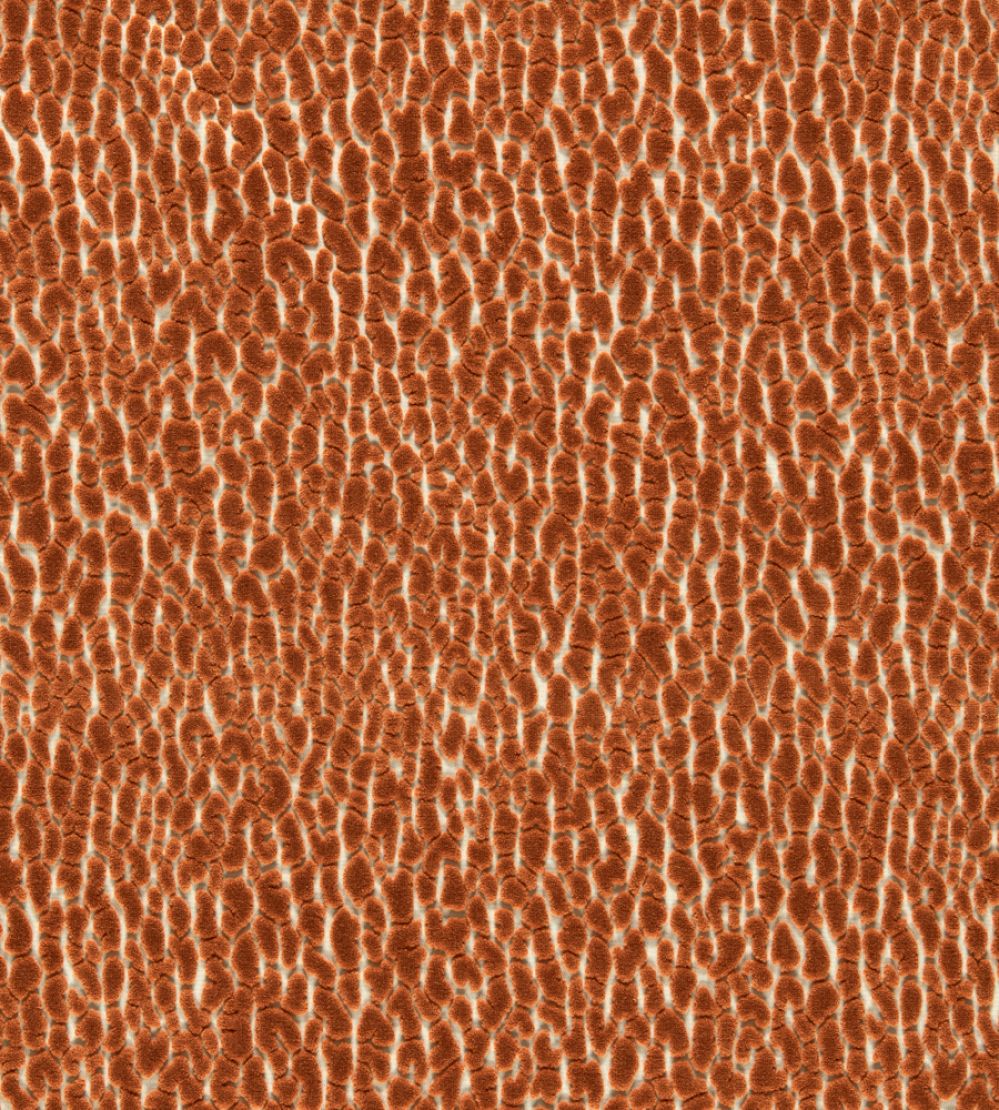Lacuna Fabric by Harlequin Tiger