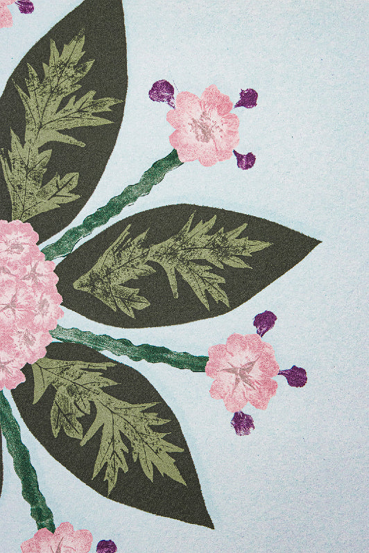 Hydrangea Bloom Wallpaper by Kerry Joyce in Blushing Beauty