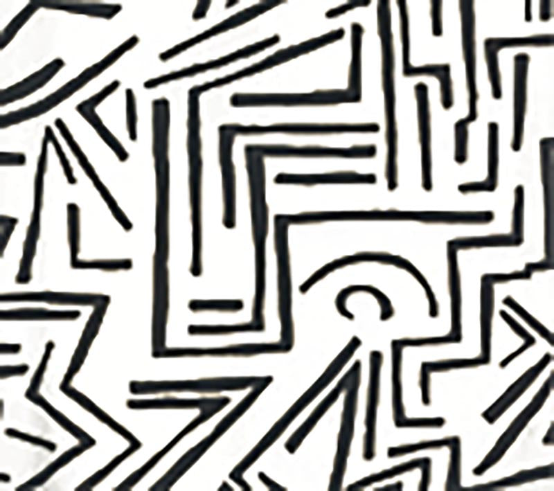 Lascaux Black wallpaper by Alan Campbell