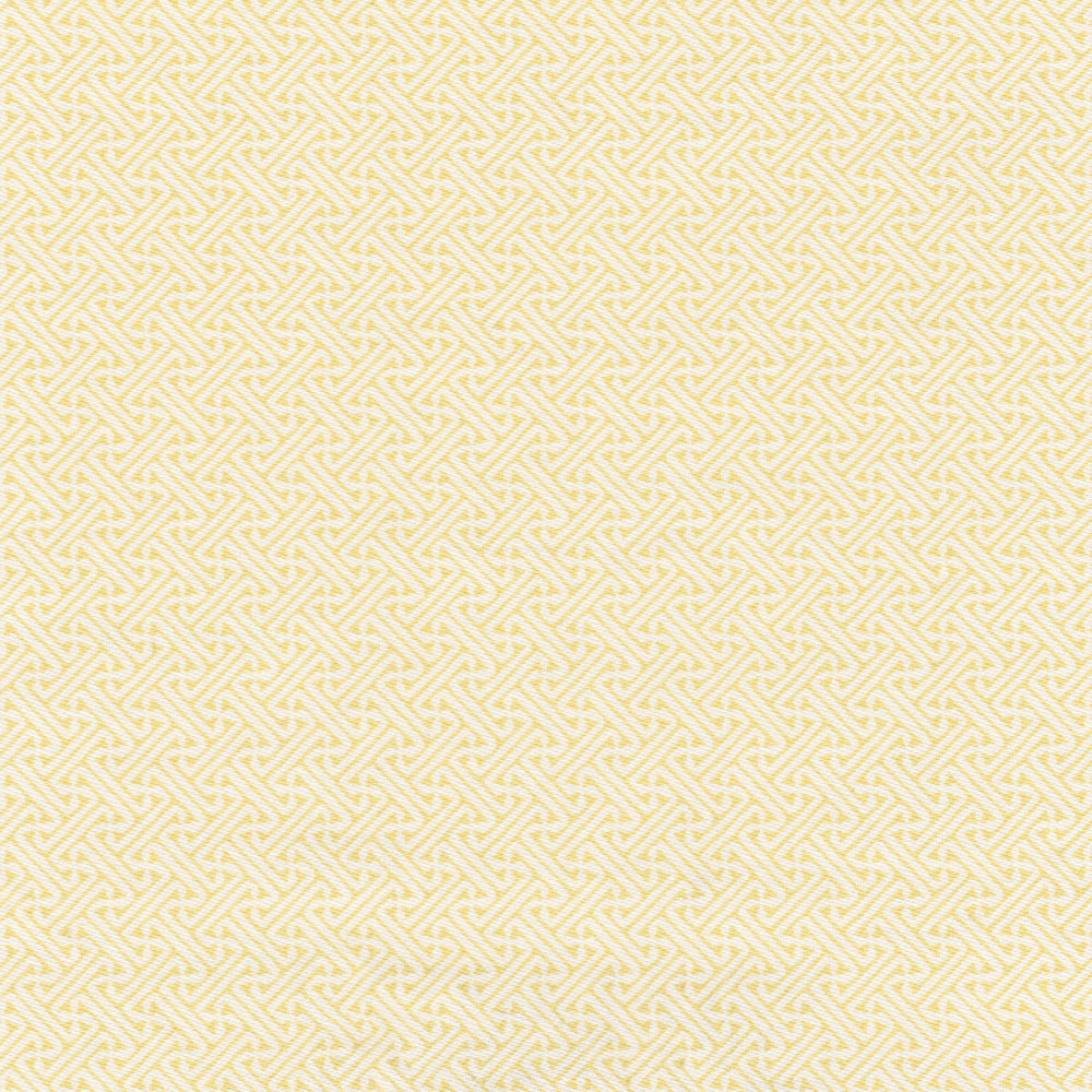 Lattice Fabric by Nile & York in Acid