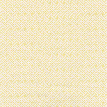 Lattice Fabric by Nile & York in Acid