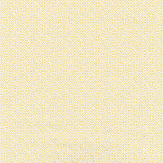 Lattice Fabric by Nile & York in Acid