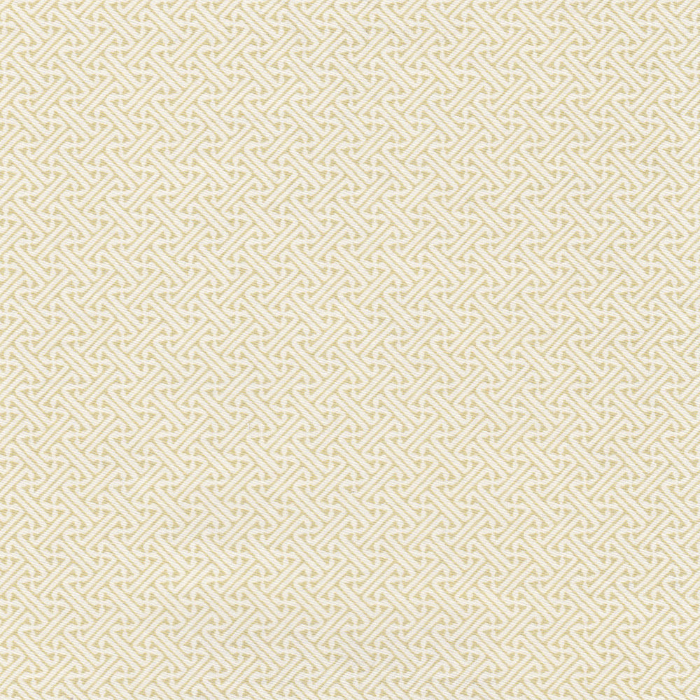 Lattice Fabric by Nile & York in Willow