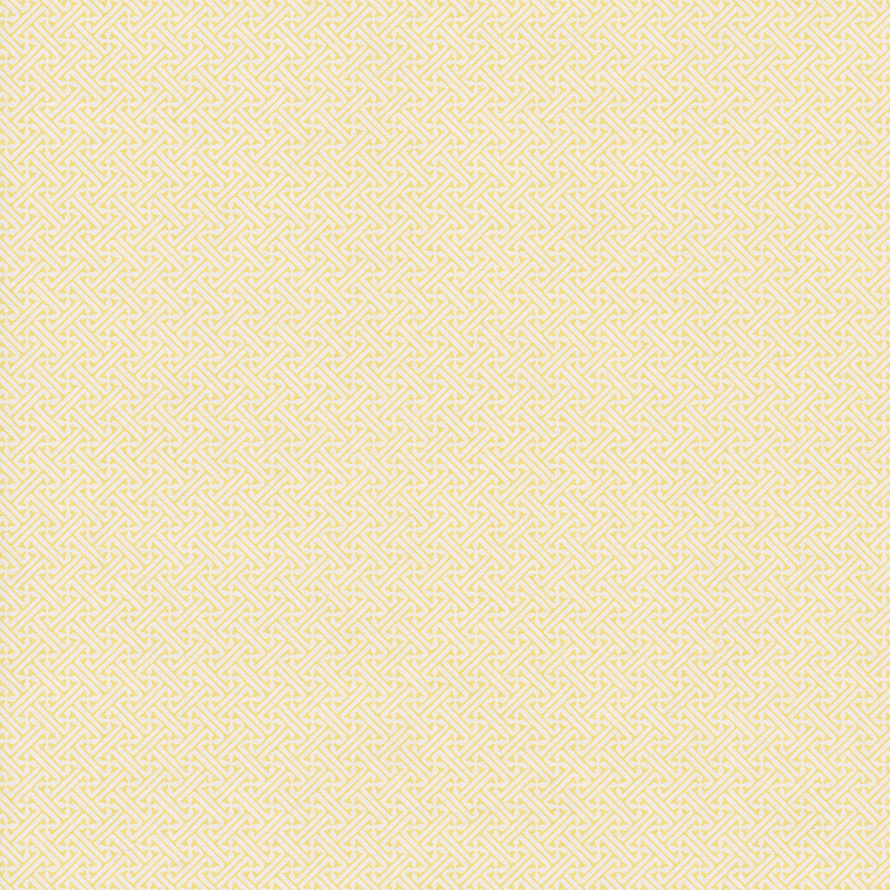 Lattice Wallpaper by Nile & York in Acid