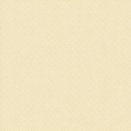 Lattice Wallpaper by Nile & York in Acid