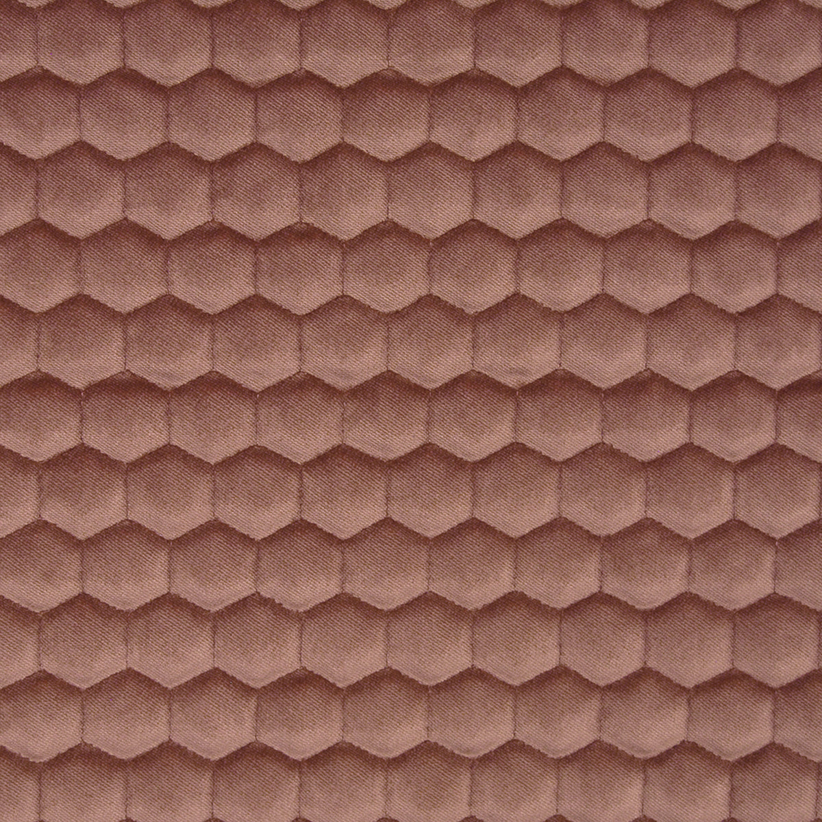 Quercus Fabric by Gaston y Daniela in Rosa