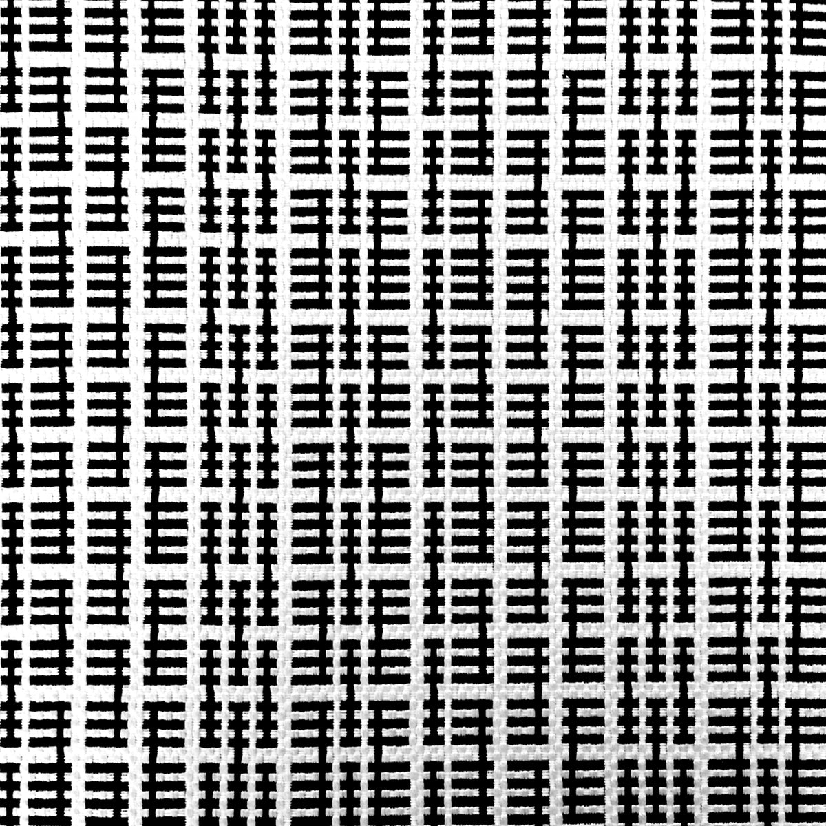 Tiana Fabric by Gaston y Daniela in Negro