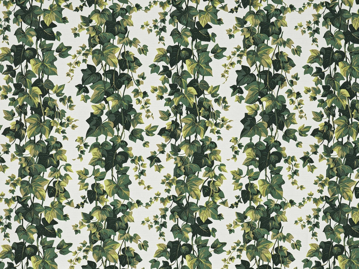 Le Lierre Fabric by Pierre Frey in Vegetal (F3755001)