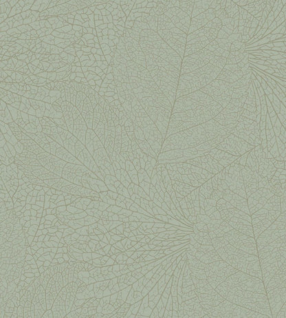 Leaf Vein Wallpaper by Eijffinger Green
