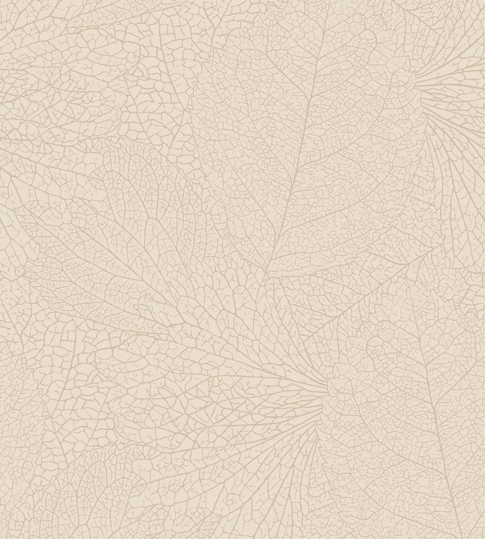 Leaf Vein Wallpaper by Eijffinger White/Cream