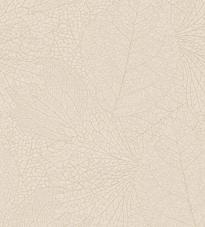 Leaf Vein Wallpaper by Eijffinger White/Cream