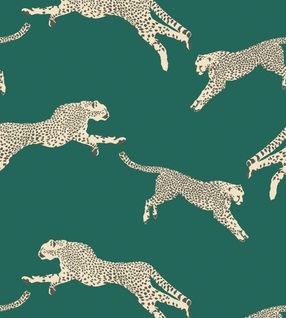 Leaping Cheetah Wallpaper by Scalamandre Evergreen