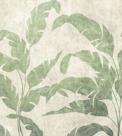 Leaves Shadow Mural by Coordonne Leaves