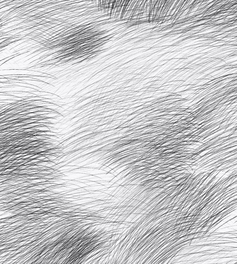 Lepo Wallpaper by Marimekko Black/White