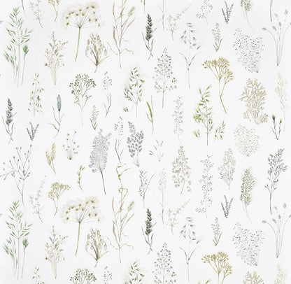 Les Graminees Wallpaper by Pierre Frey in Herbe (FP107001)