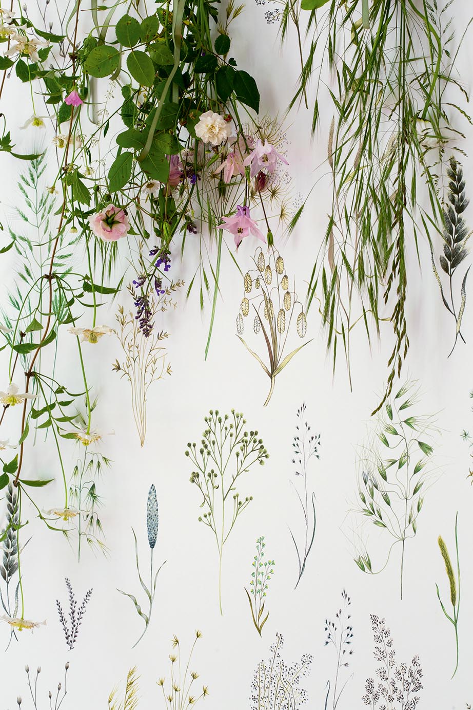 Les Graminees Wallpaper by Pierre Frey shown in a room setting (view 1)