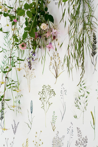 Les Graminees Wallpaper by Pierre Frey shown in a room setting (view 1)