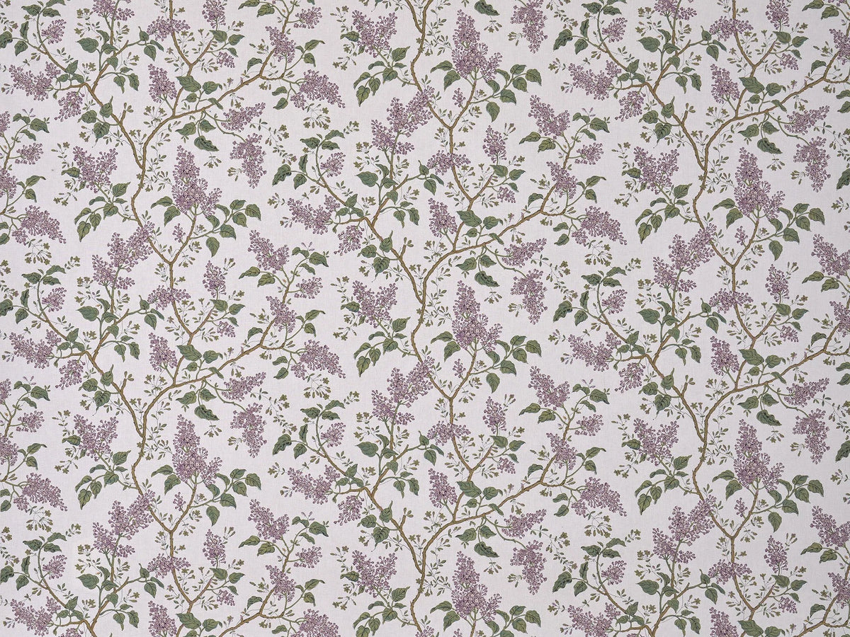 Les Lilas Fabric by Braquenié in Parme (B7678003)