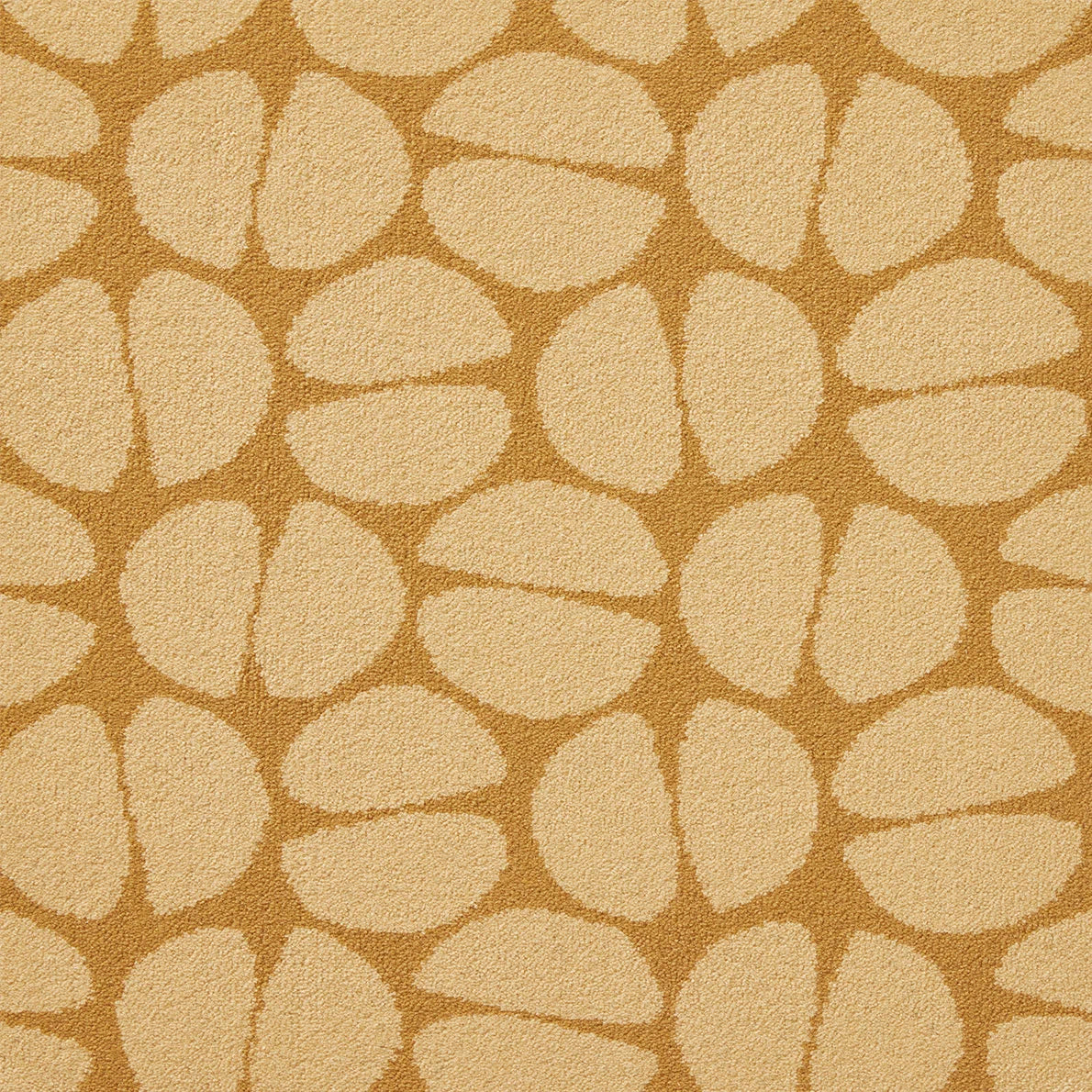 Les Noix Axminster Rug by Le Manach in Jaune (LT126002)