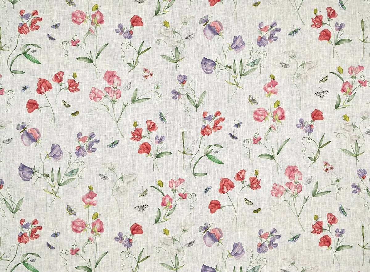 Les Pois de Senteur Fabric by Pierre Frey in Printemps (F3905001)