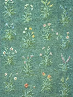 L'Herbier du Jardin Wallpaper by Pierre Frey in Prairie (FP282001)
