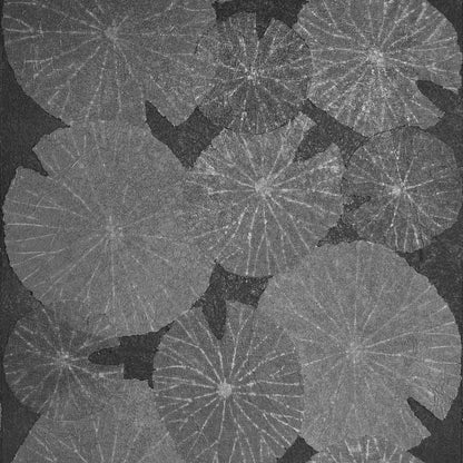 Lilies Wallpaper by Phillip Jeffries in Midnight Pond (PJ 8463)